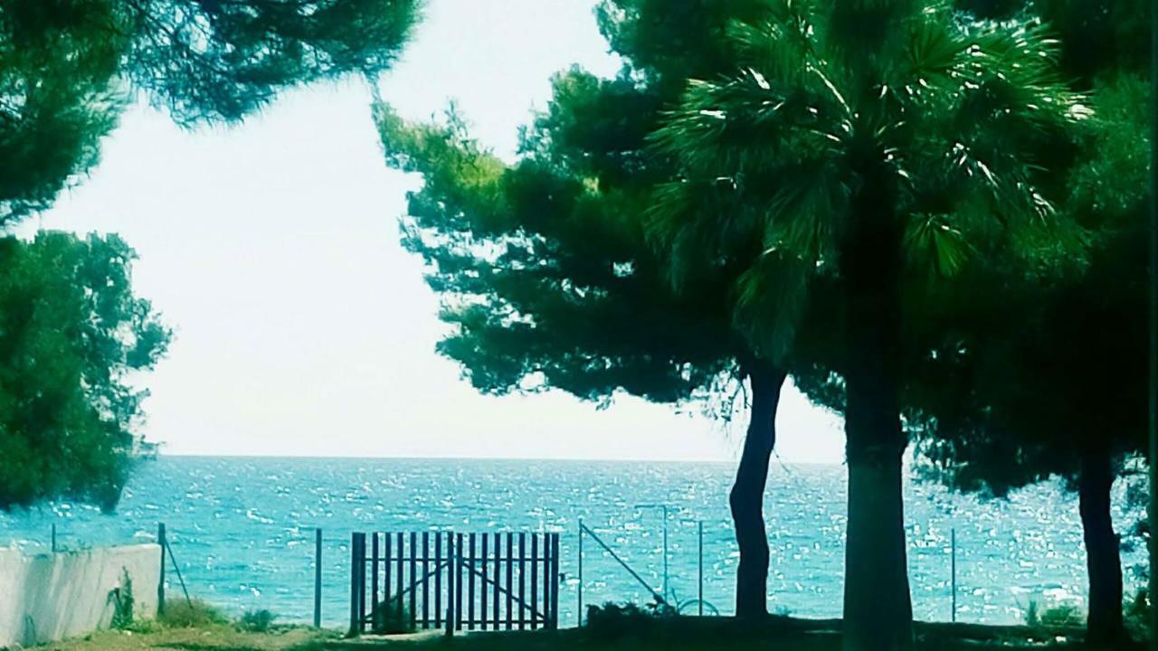Seafront Villa Joan Nea Skioni Buitenkant foto