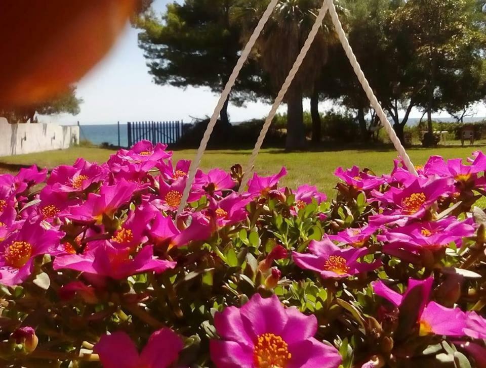 Seafront Villa Joan Nea Skioni Buitenkant foto